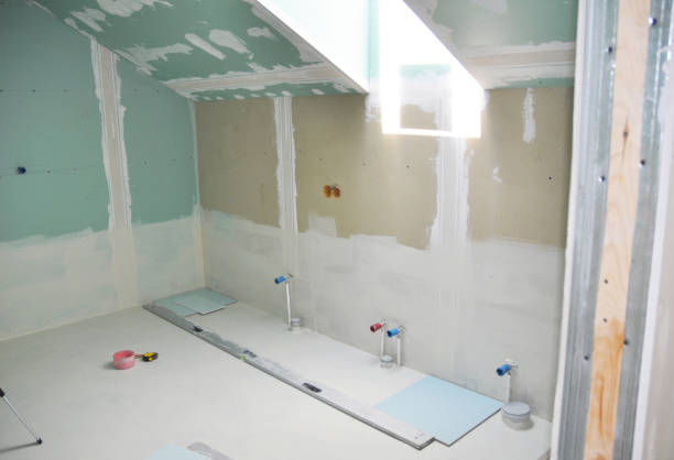 Best Industrial Mold Remediation  in Hailey, ID