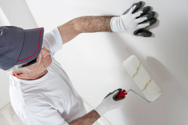 Best Mold Prevention Services  in Hailey, ID
