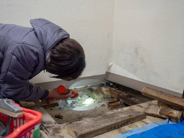 Best Airborne Mold Testing  in Hailey, ID