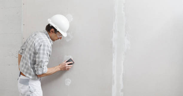 Best Black Mold Removal  in Hailey, ID