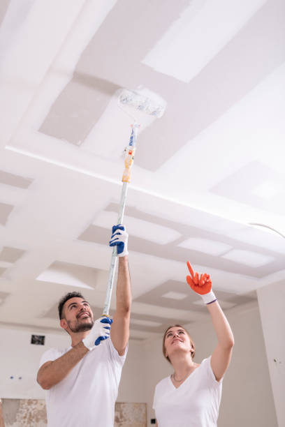 Best Residential Mold Inspection & Testing  in Hailey, ID