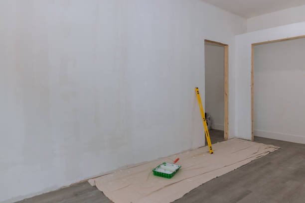 Best Asbestos and Lead Testing During Mold Inspection  in Hailey, ID