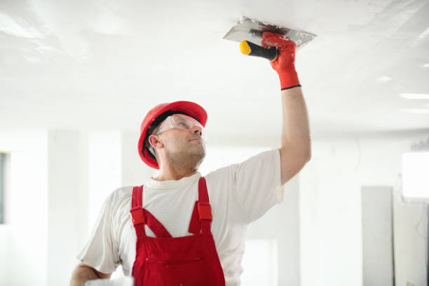 Best Mold Remediation for Vacation Homes  in Hailey, ID