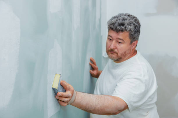 Asbestos and Lead Testing During Mold Inspection in Hailey, ID