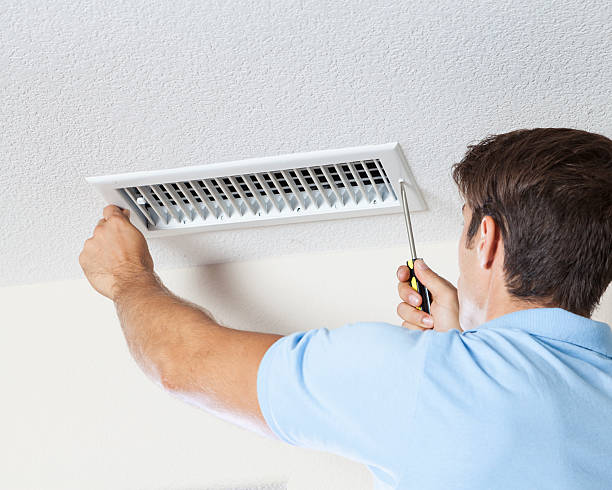 Best Real Estate Mold Inspection  in Hailey, ID